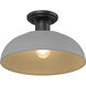 Levitt 1 Light 13.63 inch Natural Black Outdoor Semi-flush in Natural Gray